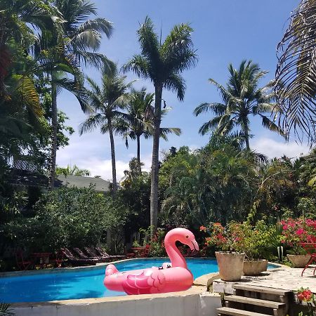 Cabarete Surf Camp Hotel Esterno foto