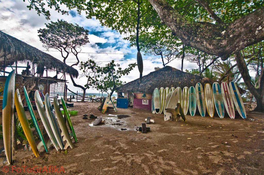 Cabarete Surf Camp Hotel Esterno foto