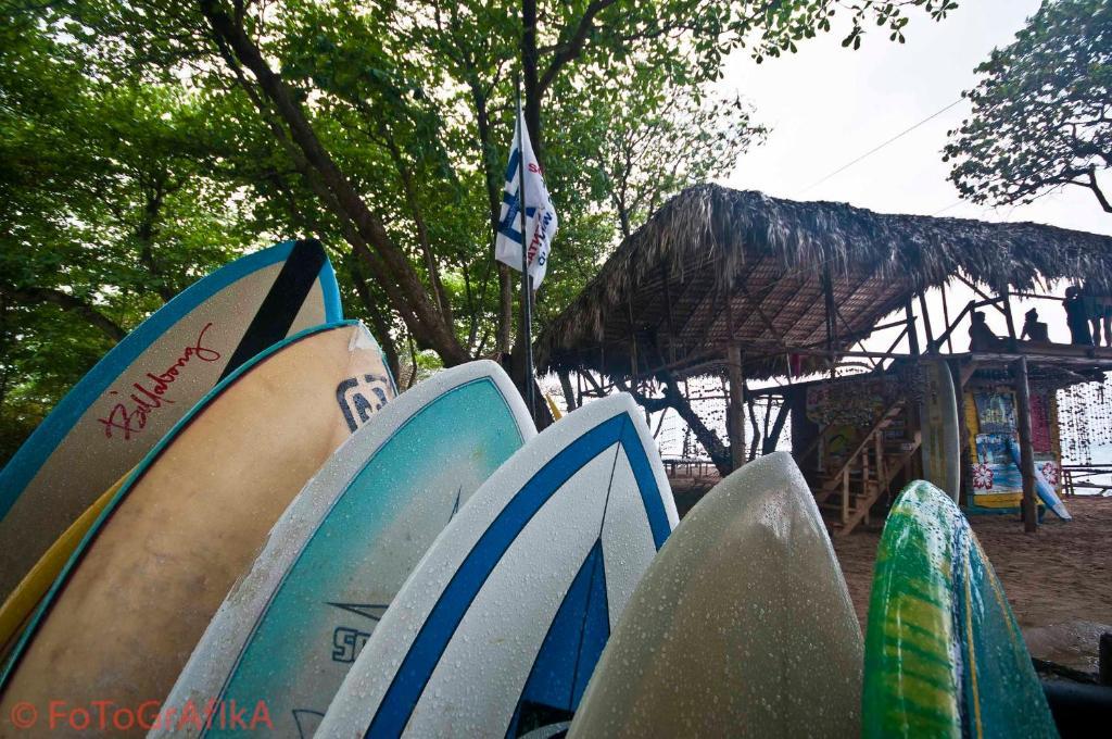 Cabarete Surf Camp Hotel Esterno foto
