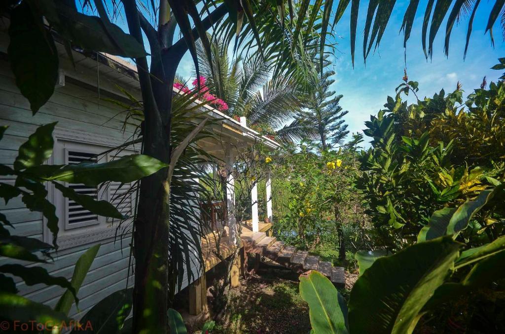 Cabarete Surf Camp Hotel Esterno foto